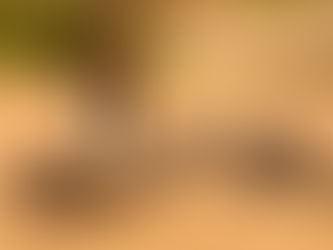 INSÓLITO: COBRA MUERE TRAS SER MORDIDA POR NIÑO DE 8 AÑOS EN INDIA