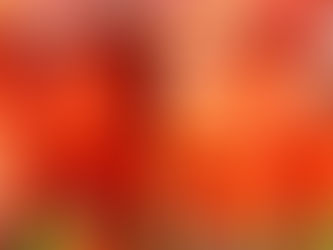 NUEVA DENUNCIA DE VIOLACIÓN CONTRA COBRELOA: INVOLUCRARÍA A CADETES SUB 15