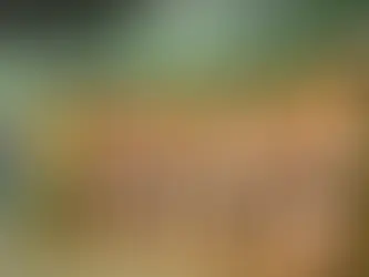 FALABELLA ANUNCIA CIERRE DEL 10% DE SUS TIENDAS EN CHILE, PERÚ Y COLOMBIA