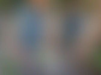 FAMILIA ENCUENTRA SERPIENTE PITÓN EN SU DEPARTAMENTO