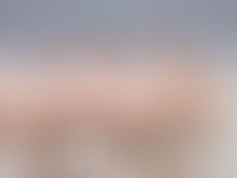 RÉCORD: CONAF DETECTA NACIMIENTO DE CASI 900 FLAMENCOS EN ATACAMA