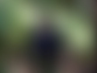 FEMICIDIO EN CORONEL: SUJETO QUE ASESINÓ A SU EX PAREJA SE QUITÓ LA VIDA