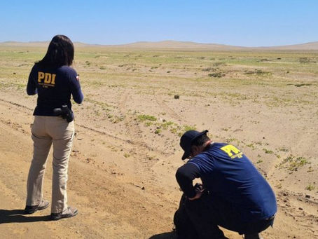 GOBERNADOR DE ATACAMA PRESENTA DENUNCIA EN LA PDI POR DAÑOS AL DESIERTO FLORIDO