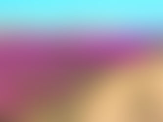 DESIERTO FLORIDO REVIVE TRAS AÑOS DE SEQUÍA