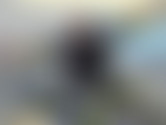 JOVEN BOMBERO MUERE TRAS PARTICIPAR EN CURSO DE CAPACITACIÓN EN CHAITÉN