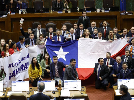 CÁMARA APRUEBA PROYECTO QUE PRESUME LEGÍTIMA DEFENSA DE CARABINEROS AL RESPONDER A UNA AGRESIÓN