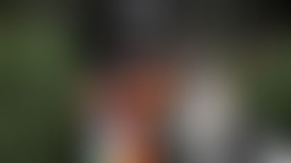 SUKI, LA PRIMERA PERRITA CAPAZ DE DETECTAR FUGAS DE AGUA POTABLE: TRABAJA EN AGUAS ANDINA