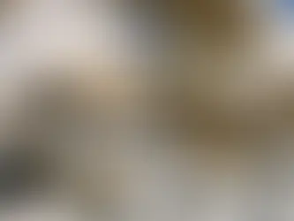 INSÓLITO: ROBAN 200 ZAPATILLAS EN PERÚ PERO TODAS ERAN DEL PIE DERECHO