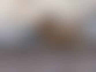 ATAQUE DE MONOS DEJA CERCA DE 40 HERIDOS EN JAPÓN