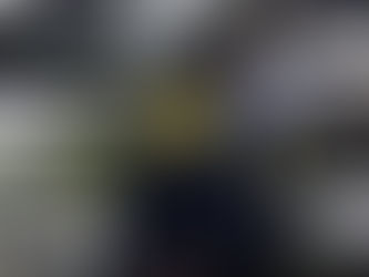 PDI DESARTICULA 16 BANDAS CRIMINALES DEDICADAS A ENCERRONAS Y PORTONAZOS