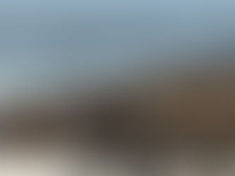 GRIPE AVIAR MATÓ A MÁS DE 700 LOBOS MARINOS EN PERÚ