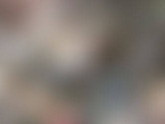 RESCATAN A 4 MIL BEAGLES QUE IBAN A SER USADOS EN EXPERIMENTOS CON DROGAS