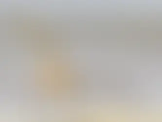 AVE ROMPE RÉCORD MUNDIAL AL VOLAR DESDE ALASKA HASTA TASMANIA SIN ATERRIZAR