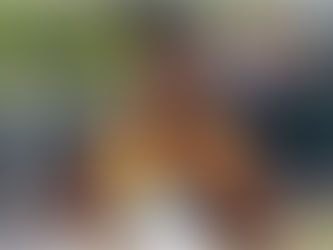 CONMOCIÓN EN EL DEPORTE: ATLETA OLÍMPICA REBECCA CHEPTEGEI MUERE TRAS SER QUEMADA POR SU NOVIO