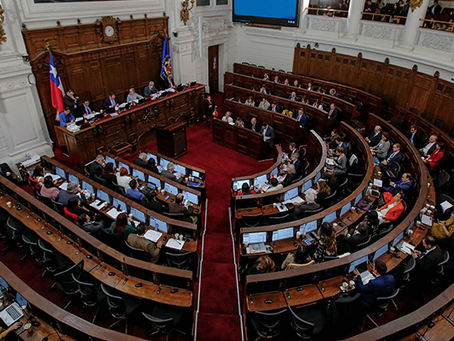 CONSEJO CONSTITUCIONAL APRUEBA EL DERECHO A LA VIDA “DE QUIEN ESTÁ POR NACER”