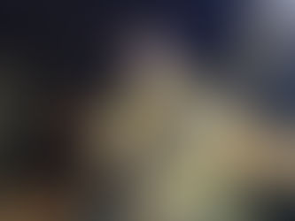 BRIGADISTAS RESCATAN A UN PUDÚ Y UN MONITO DEL MONTE EN INCENDIO FORESTAL EN LA ARAUCANÍA