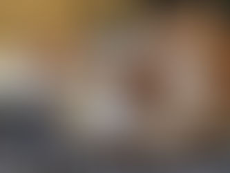 ENCUENTRAN CUERPO DE UN HOMBRE QUE ESTABA SIENDO DEVORADO POR SUS GATOS EN ARGENTINA