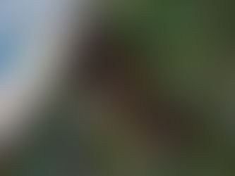 SOCAVÓN EN REÑACA PROVOCA EVACUACIÓN DE EDIFICIO EUROMARINA