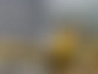 NIÑO DE 13 AÑOS TRASLADA A BOMBEROS EN SU BARCAZA PARA COMBATIR INCENDIOS FORESTALES