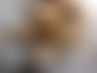 DENUNCIAN A SUJETO QUE MATÓ A PERRITA COLGÁNDOLA DE UN LETRERO EN POZO ALMONTE