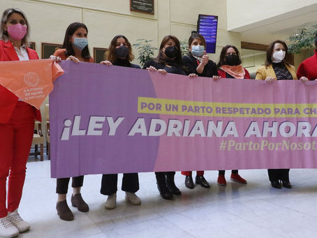 VIOLENCIA GINECO-OBSTETRA: VÍCTIMAS EXIGEN APROBACIÓN DE LEY ADRIANA