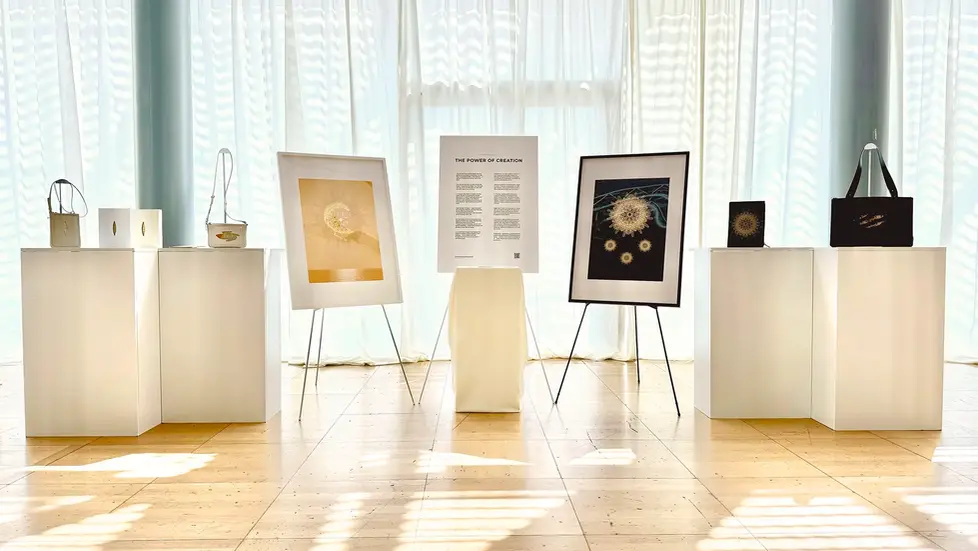 Planting the Seeds of Light | Bag-Frame Design Exhibition 2026 I PRDV LIGHT ARTIST