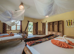 tanzania-2023-24-maasai-girafe-preview-lodge-20.jpg