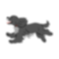 5.png