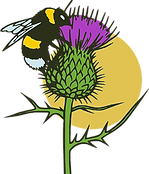 Stroodelande Logo
