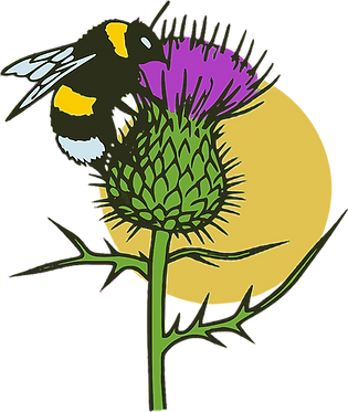 Stroodelande Logo, Bee Only May2025.png
