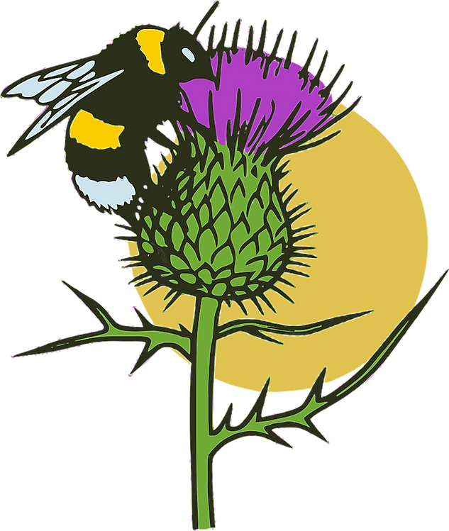 Stroodelande Logo, Bee Only May2025.png