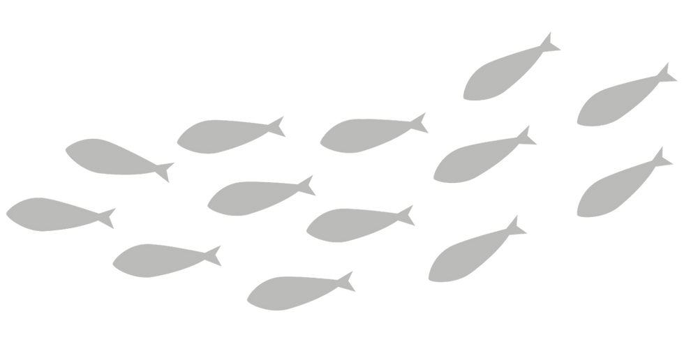 fish big.png