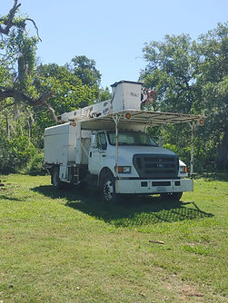 Andy's Tree Service | Tree Removals Service
