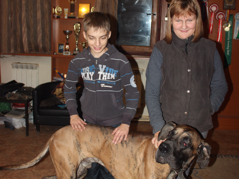 Работа кипит