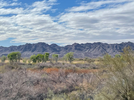 Step 3: Visit the people you love the most before you go