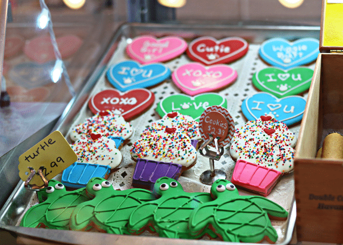 Silly Willie's Dog and Cat Boutique