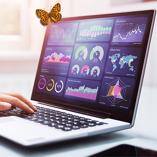 Butterfly - Analytics-2.png