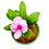 Thumbnail: Madagascar Periwinkle
