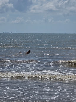 20250906_114619.jpg