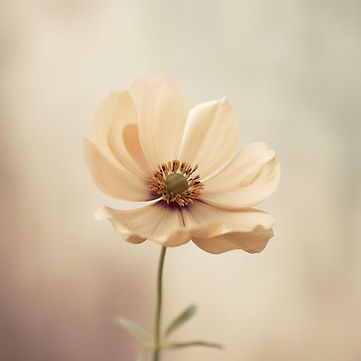 Bilder für Wix (800 x 800 px).jpg