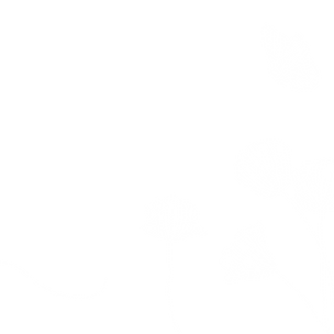farfalla.png