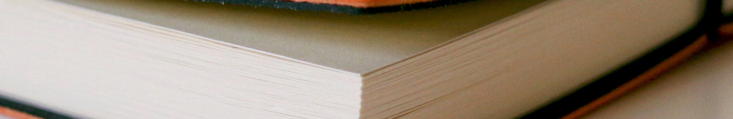 Orange Notebook_edited.jpg
