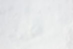 White Flakey Backdrop_edited.jpg
