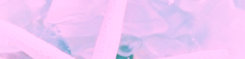 IMG_9429_edited_edited_edited_edited_edi