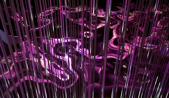 《叶巢声根》图片