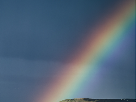 NE KADAR ÖNEMLİSİN?...
