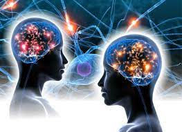 BEYİN İKİZLİĞİ...