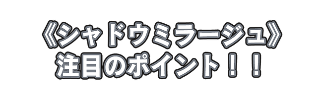 注目のポイント(シャドウミラージュ).png