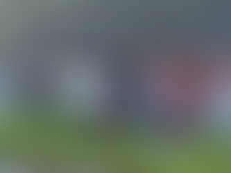 Car crashed into cottage