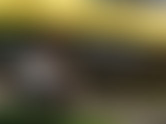 Another School Shooting